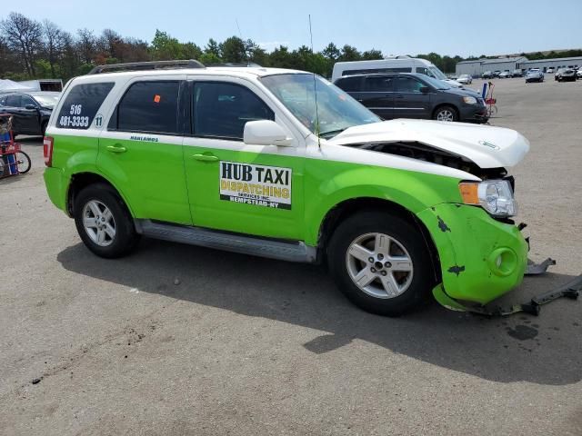 2010 Ford Escape Hybrid