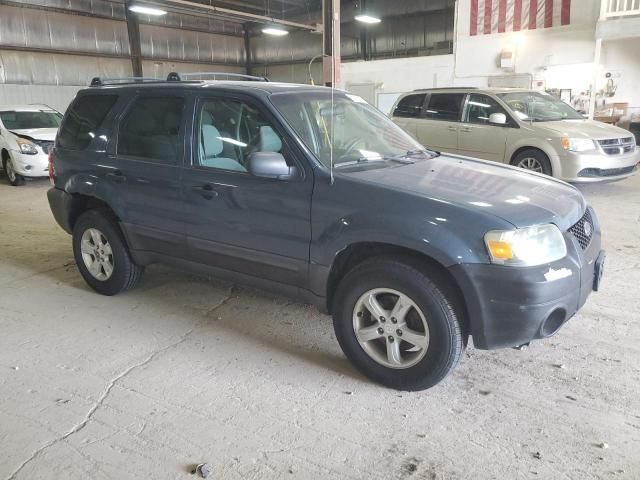 2005 Ford Escape XLT