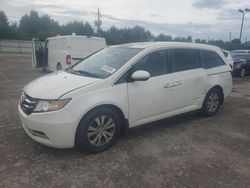 Honda salvage cars for sale: 2014 Honda Odyssey EXL