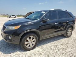 Salvage cars for sale at Temple, TX auction: 2013 KIA Sorento LX