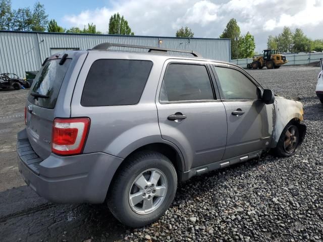 2008 Ford Escape XLT