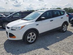 Salvage SUVs for sale at auction: 2016 Ford Escape S