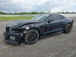 Salvage cars for sale at Ottawa, ON auction: 2016 Ford Mustang