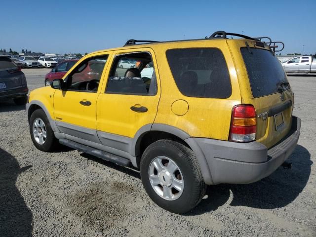 2002 Ford Escape XLT