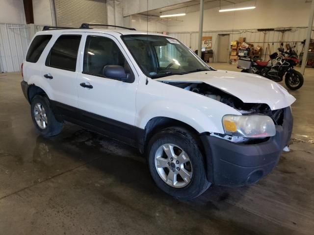 2007 Ford Escape XLT