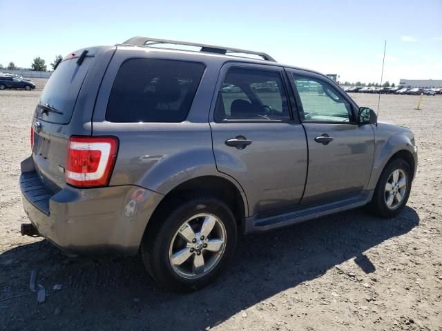 2011 Ford Escape XLT