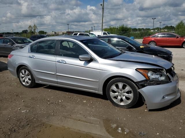 2010 Honda Accord EXL