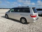 2005 Honda Odyssey EXL