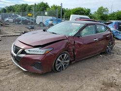 Nissan salvage cars for sale: 2019 Nissan Maxima S