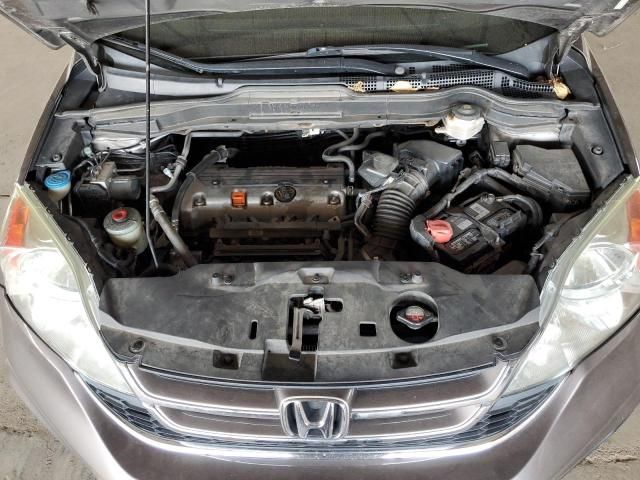 2010 Honda CR-V EXL