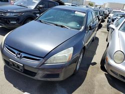 Salvage cars for sale at Martinez, CA auction: 2007 Honda Accord EX