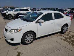 Salvage cars for sale at Grand Prairie, TX auction: 2010 Toyota Corolla Base