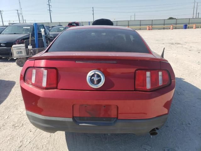 2010 Ford Mustang