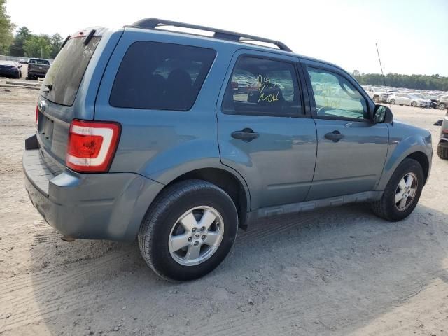 2011 Ford Escape XLT