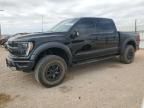 2021 Ford F150 Raptor