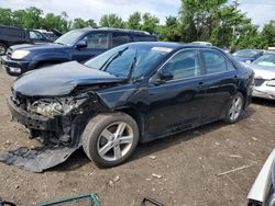 Salvage cars for sale from Copart Baltimore, MD: 2014 Toyota Camry L