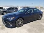 2024 Lexus ES 350 Base