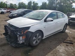 Salvage cars for sale at Baltimore, MD auction: 2019 Hyundai Ioniq Limited