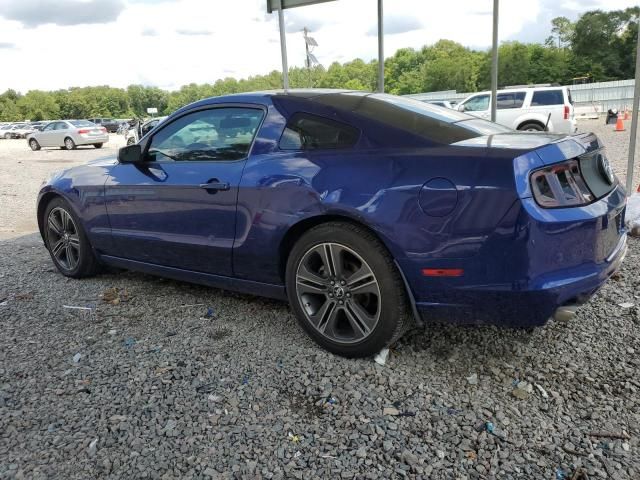 2013 Ford Mustang