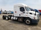 2015 Freightliner Cascadia 113