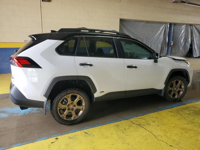 2024 Toyota Rav4 Woodland Edition