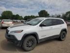 2017 Jeep Cherokee Trailhawk