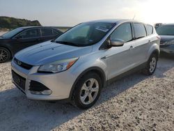 Salvage cars for sale at Temple, TX auction: 2014 Ford Escape SE