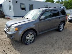 Salvage cars for sale from Copart Lyman, ME: 2012 Ford Escape XLT