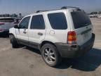 2006 Ford Escape XLS