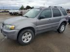 2007 Ford Escape HEV