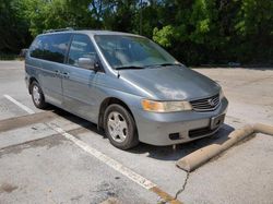 Salvage cars for sale at Haslet, TX auction: 1999 Honda Odyssey EX