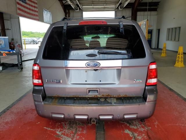 2011 Ford Escape Limited