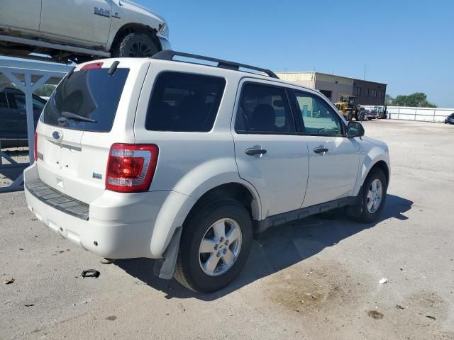 2012 Ford Escape XLT