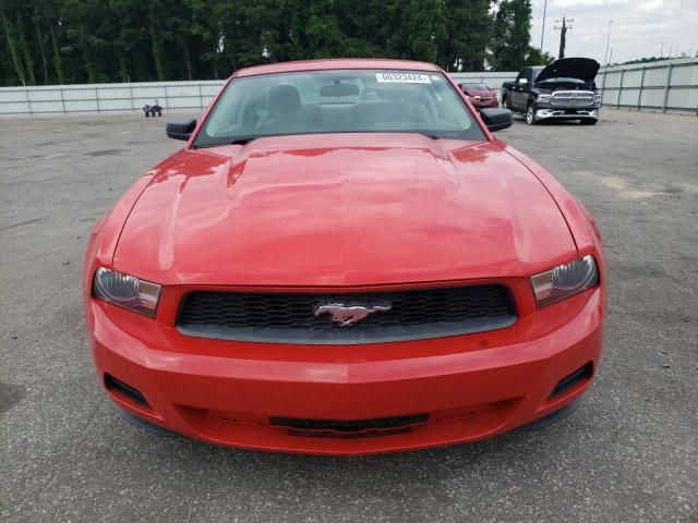 2010 Ford Mustang