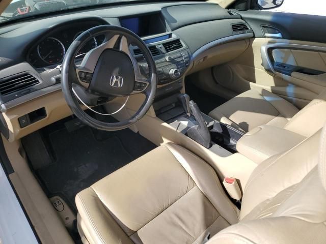 2010 Honda Accord EXL