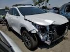 2024 Lexus NX 350H Base