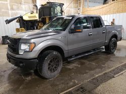 Salvage cars for sale from Copart Anchorage, AK: 2010 Ford F150 Supercrew