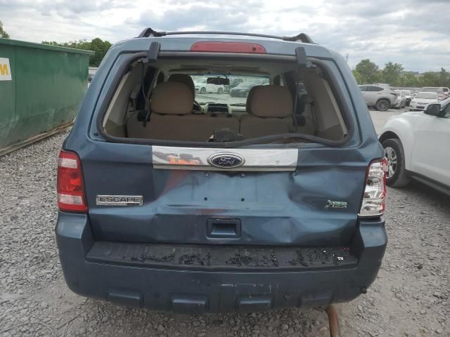 2010 Ford Escape Limited