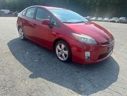 Toyota Prius salvage cars for sale: 2010 Toyota Prius