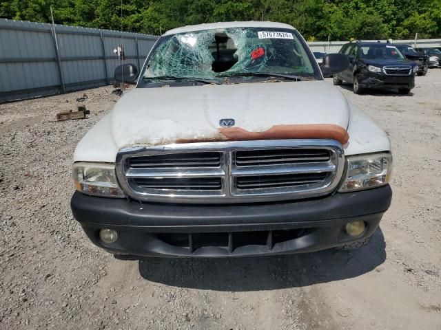 2003 Dodge Dakota Quad SLT