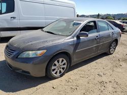 Toyota Camry Hybrid salvage cars for sale: 2009 Toyota Camry Hybrid