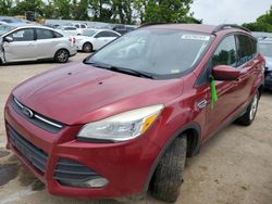 Salvage cars for sale at Bridgeton, MO auction: 2015 Ford Escape SE