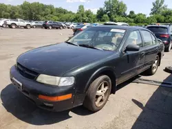 Nissan Vehiculos salvage en venta: 1997 Nissan Maxima GLE