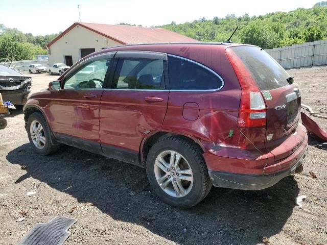 2010 Honda CR-V EXL