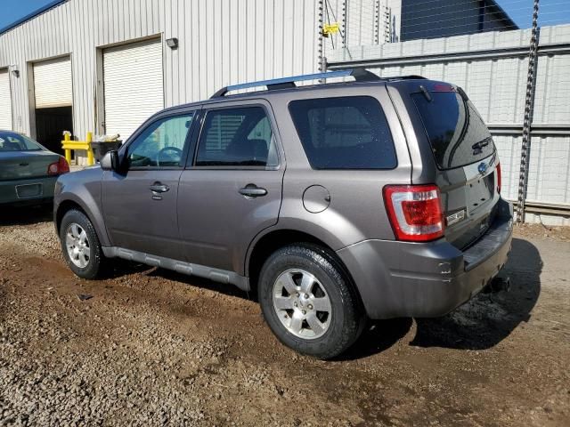 2011 Ford Escape Limited