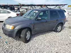 Salvage cars for sale at Cahokia Heights, IL auction: 2002 Ford Escape XLT
