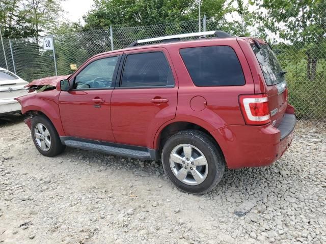 2011 Ford Escape Limited