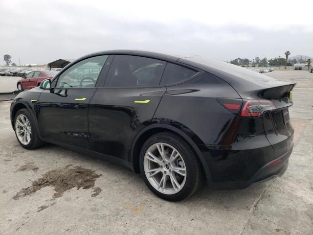 2024 Tesla Model Y