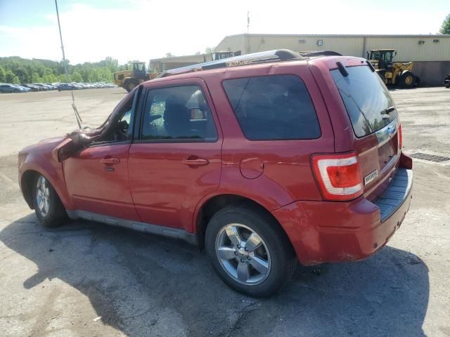 2011 Ford Escape Limited