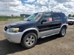 2007 Ford Escape XLT